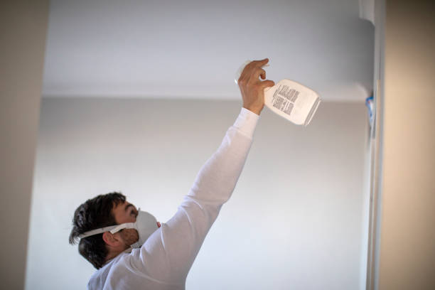 Best DIY Mold Remediation Support Services in Schler Park, IL