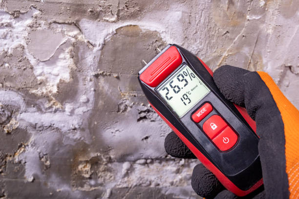 Best HVAC Mold Remediation in Schler Park, IL
